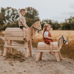 Jouets de plein air